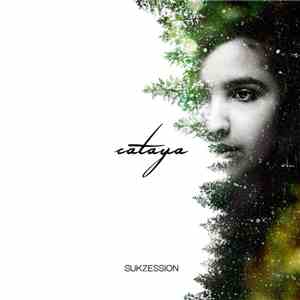 Cataya - Sukzession