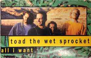 Toad The Wet Sprocket - All I Want