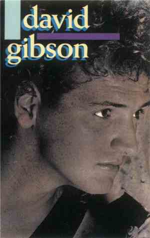 David Gibson  - David Gibson