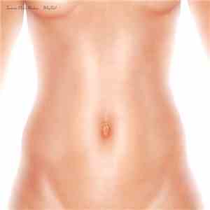 Fantastic Plastic Machine - Why Not?