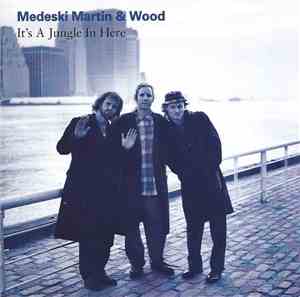 Medeski Martin & Wood - It's A Jungle In Here
