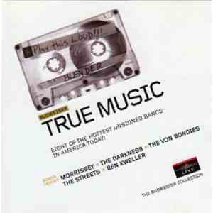 Various - Budweiser True Music