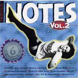 Various - Indigo Notes  Vol. 2