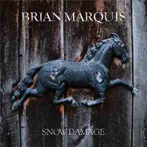 Brian Marquis - Snow Damage
