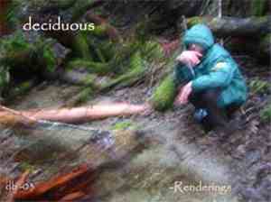 Deciduous - Renderings