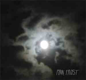 Pink Frost - The Sun / You Should Know