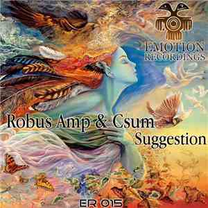 Robus Amp & Csum - Suggestion