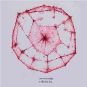 Catherine A.D. - Skeleton Songs