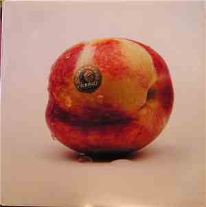 Cherokee  - Nectarine