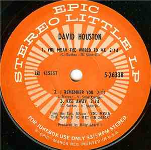 David Houston - You Mean The World To Me