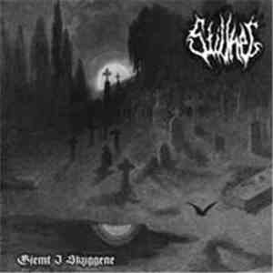 Stillhet - Gjemt I Skyggene