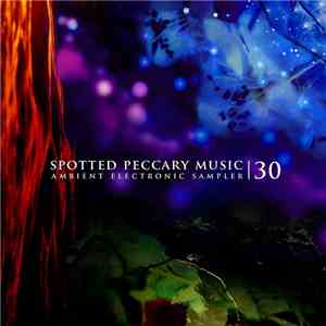 Various - 30 - Free Ambient Electronic Sampler