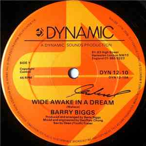 Barry Biggs - Wide Awake In A Dream