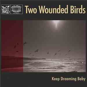 Two Wounded Birds - Keep Dreaming Baby