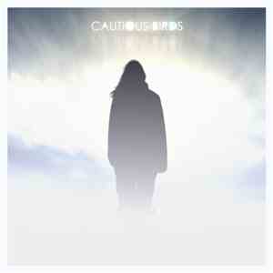 Cautious Birds - Here, Nowhere.