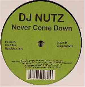 DJ Nutz - Never Come Down