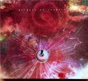 Animals As Leaders - The Joy Of Motion