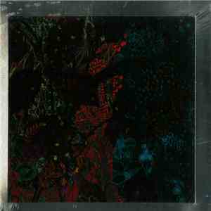 Ian Pooley - Floris