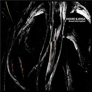 Sindre Bjerga - Dream Interruption