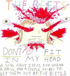 The Beets - Don't Fit In My Head