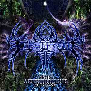First Fragment - The Afterthought Ecstasy