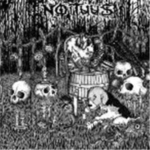 Noituus - Noituus