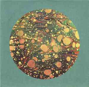 The Horrors - Higher