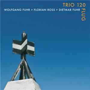 Trio 120 - Flug