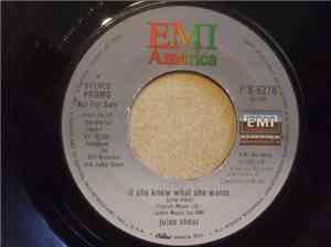 Jules Shear - If She Knew What She Wants