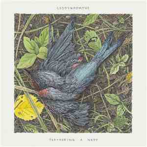 Caddywhompus - Feathering A Nest