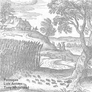 Luís Antero & Tony Whitehead - Formigas