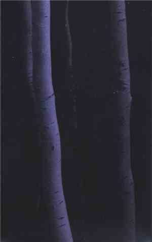Douleurfantome / Nature Morte - When Trees Fall Down