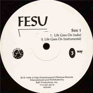Fesu - Life Goes On