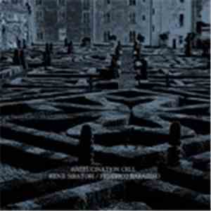 Kenji Siratori / Federico Barabino - Hallucination Cell