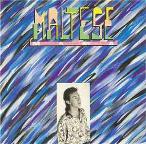 Maltese - Mama
