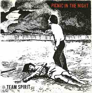 Team Spirit  - Picnic In The Night