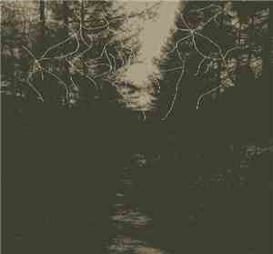 When Woods Make Graves - This Light That Decays