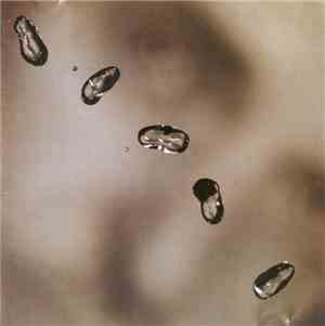 Peter Gabriel - Up