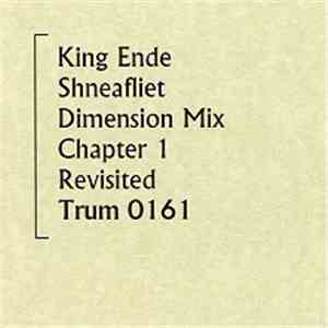 King Ende Shneafliet - Dimension Mix Chapter 1