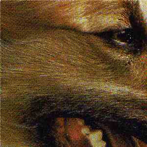 Panthera Krause - Stonith