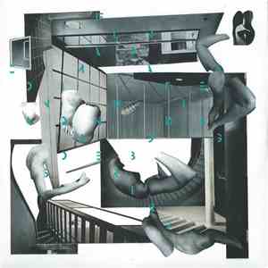 Conquering Animal Sound - On Floating Bodies