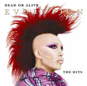 Dead Or Alive - Evolution: The Hits