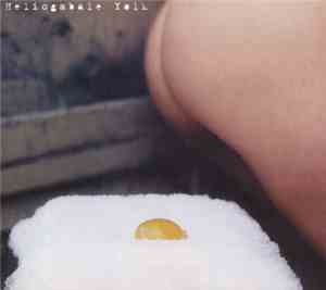 Heliogabale - Yolk