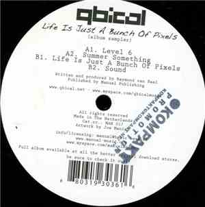 Qbical - Life Is Just A Bunch Of Pixels
