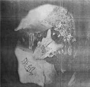 La Bête - The Beast