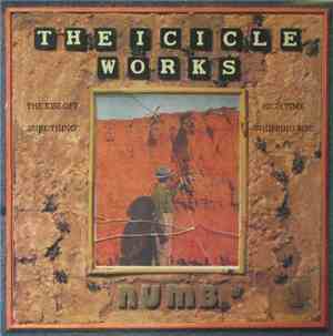 The Icicle Works - Numb