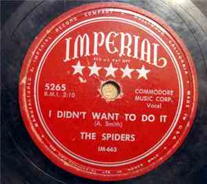The Spiders  - I Didn't Want To Do It