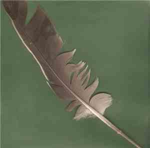 Timothy C Holehouse - Ashtoreth Shaman