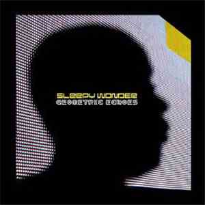 Sleepy Wonder - Geometric Echoes
