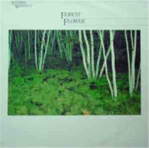 Stephen Winfield - Forest Flower